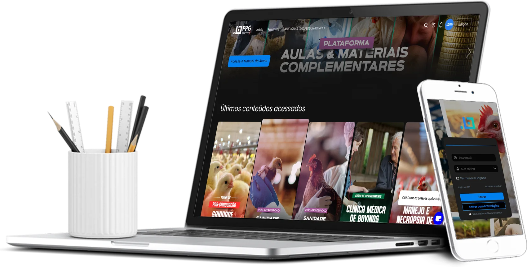 Plataforma PPGVET com aulas e materiais complementares